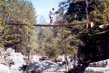 117-pont de singe tavignano